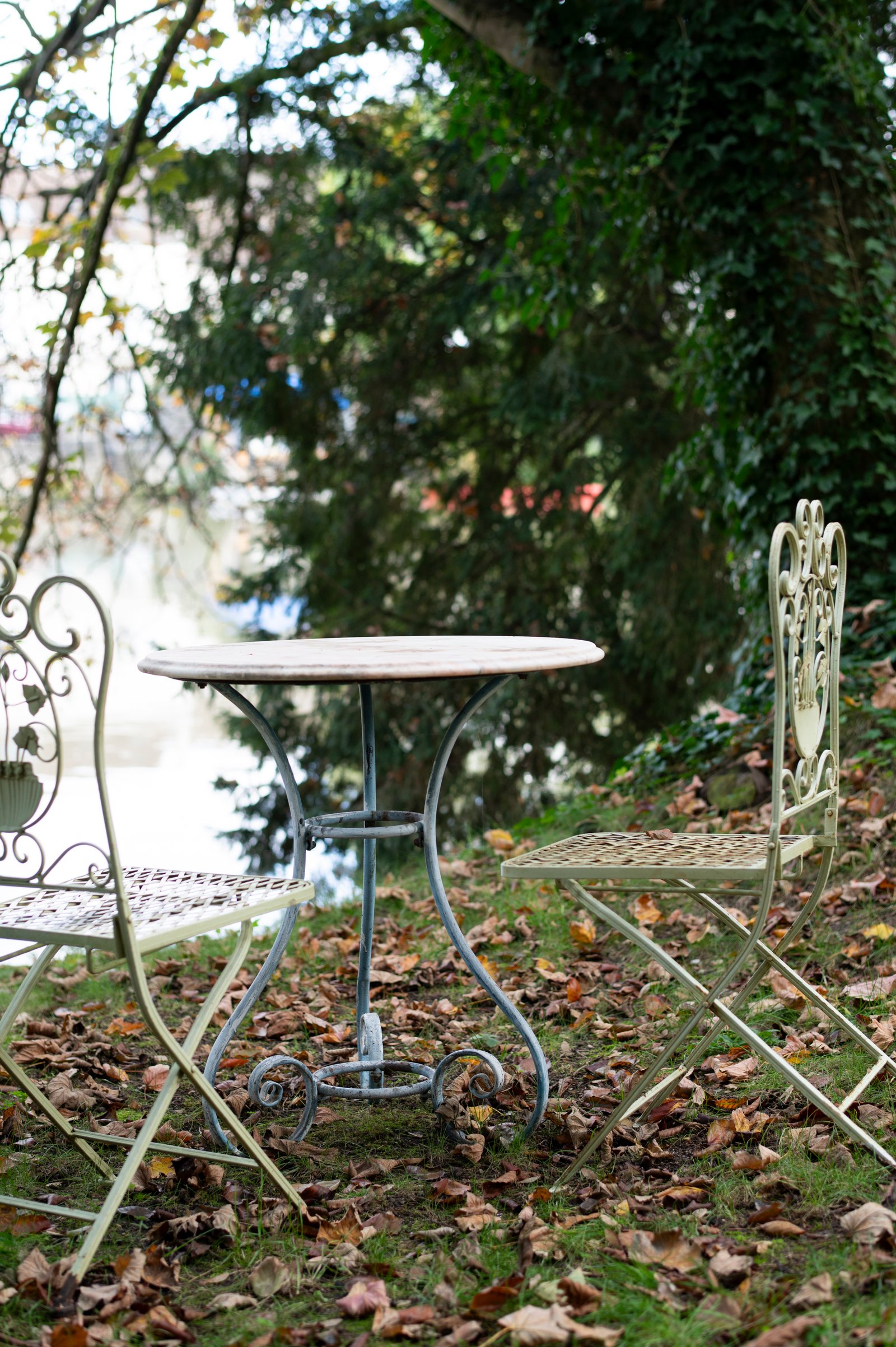 jardin