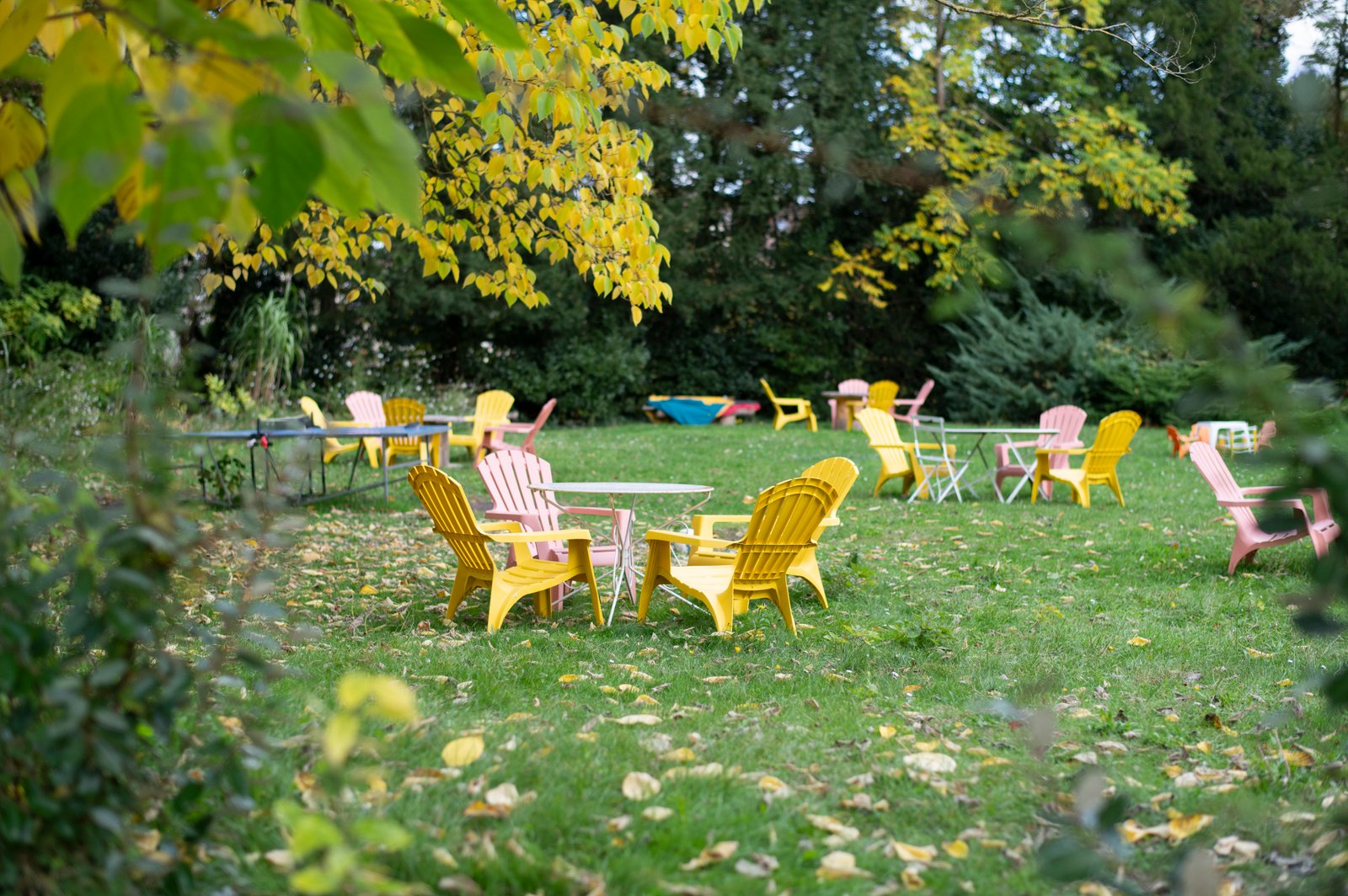 jardin